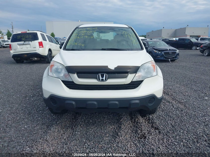 2008 Honda Cr-V VIN: 5J6RE38338L801907 Lot: 12038424