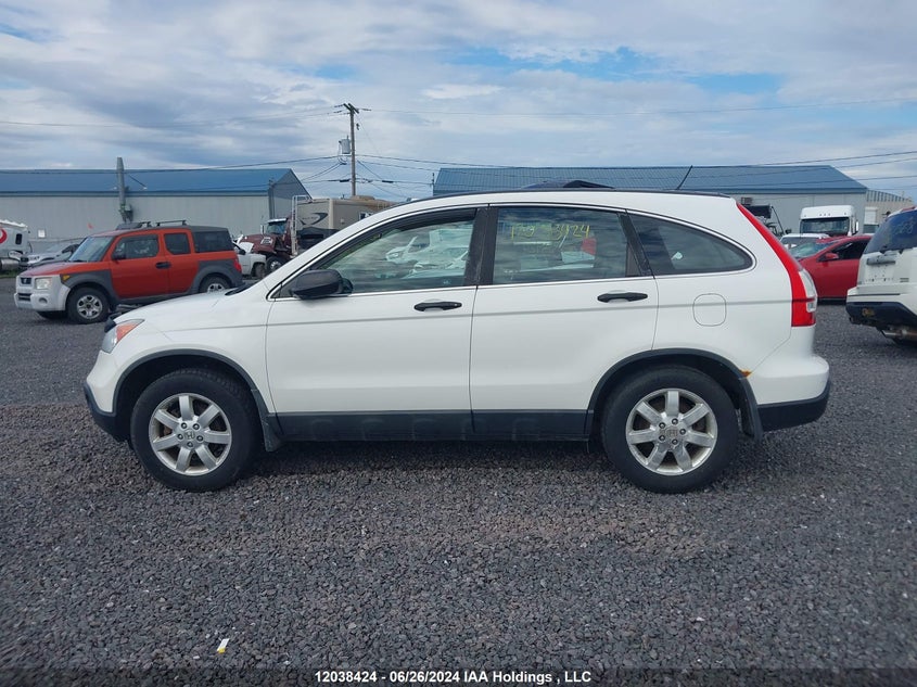 2008 Honda Cr-V VIN: 5J6RE38338L801907 Lot: 12038424