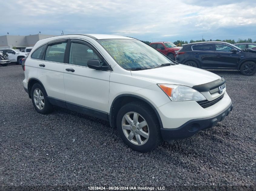 2008 Honda Cr-V VIN: 5J6RE38338L801907 Lot: 12038424