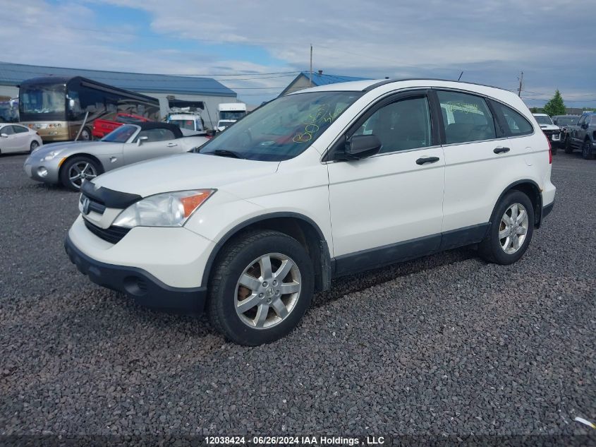 2008 Honda Cr-V VIN: 5J6RE38338L801907 Lot: 12038424