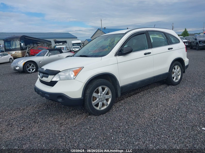2008 Honda Cr-V VIN: 5J6RE38338L801907 Lot: 12038424