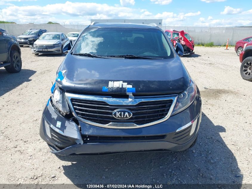 2013 Kia Sportage VIN: KNDPC3A2XD7375043 Lot: 12038436