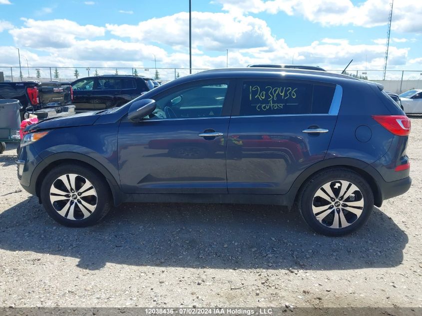 2013 Kia Sportage VIN: KNDPC3A2XD7375043 Lot: 12038436