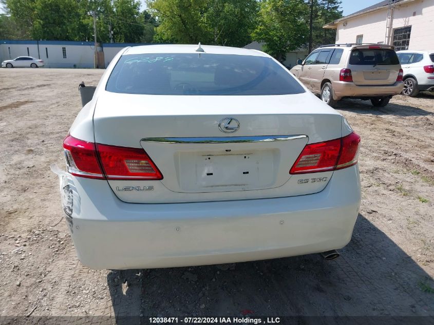 2010 Lexus Es 350 350 VIN: JTHBK1EG3A2370944 Lot: 12038471
