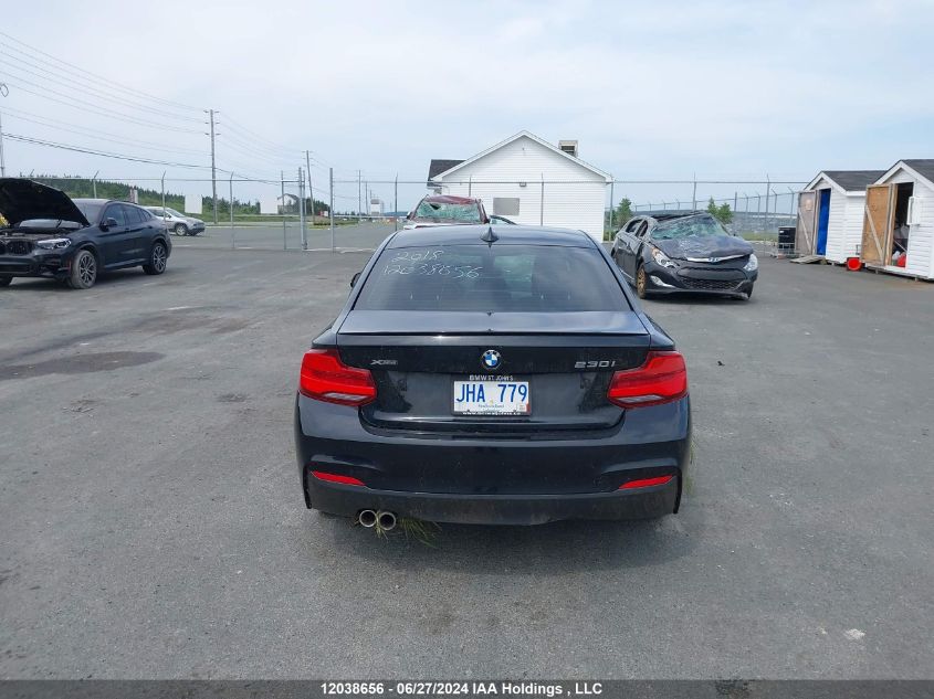 2018 BMW 2 Series VIN: WBA2J3C59JVA52309 Lot: 12038656