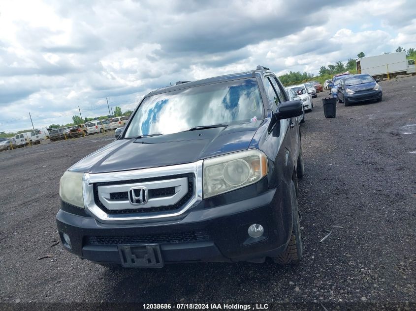 2011 Honda Pilot VIN: 5FNYF4H91BB505142 Lot: 12038686