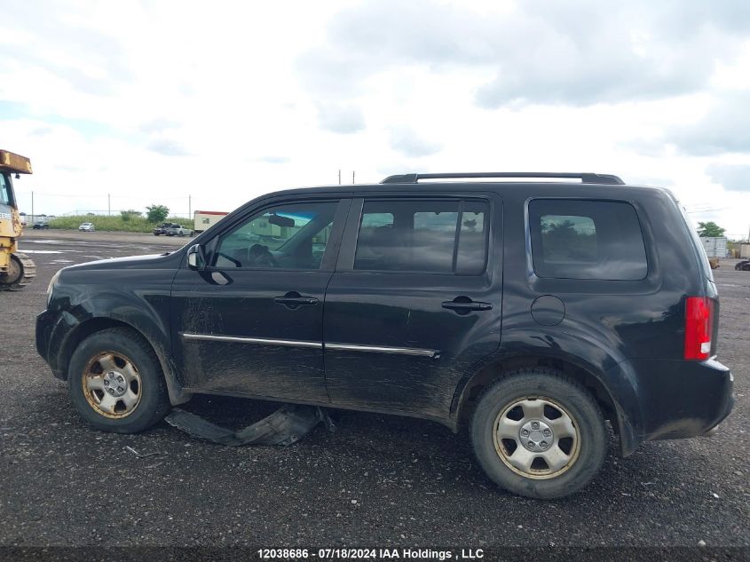 2011 Honda Pilot VIN: 5FNYF4H91BB505142 Lot: 12038686