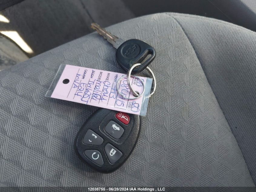 2006 Chevrolet Malibu VIN: 1G1ZT51866F276231 Lot: 12038755