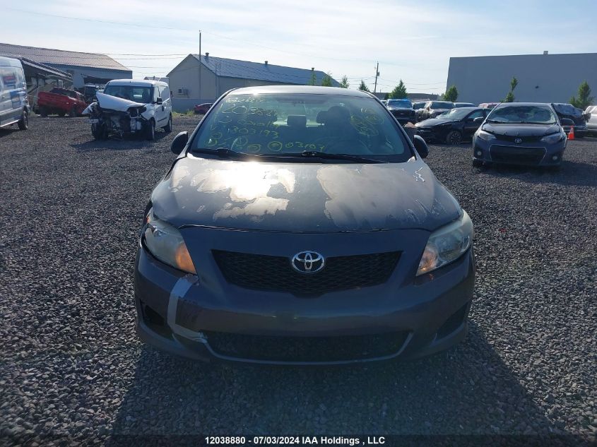 2010 Toyota Corolla VIN: 2T1BU4EE5AC303193 Lot: 12038880