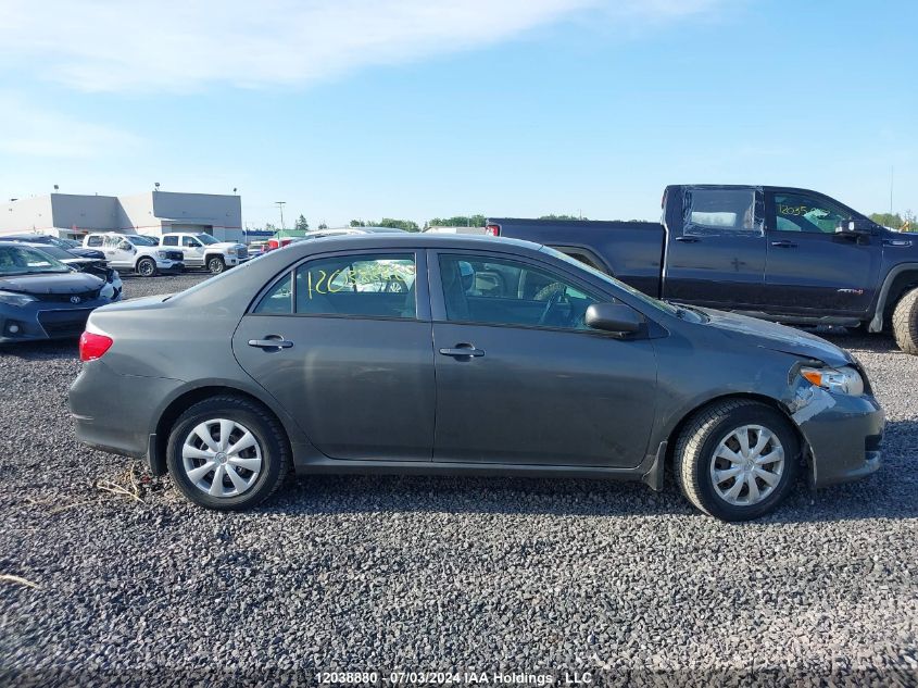 2010 Toyota Corolla VIN: 2T1BU4EE5AC303193 Lot: 12038880