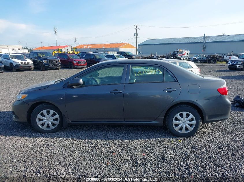 2010 Toyota Corolla VIN: 2T1BU4EE5AC303193 Lot: 12038880