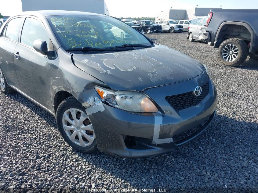 2010 Toyota Corolla VIN: 2T1BU4EE5AC303193 Lot: 12038880