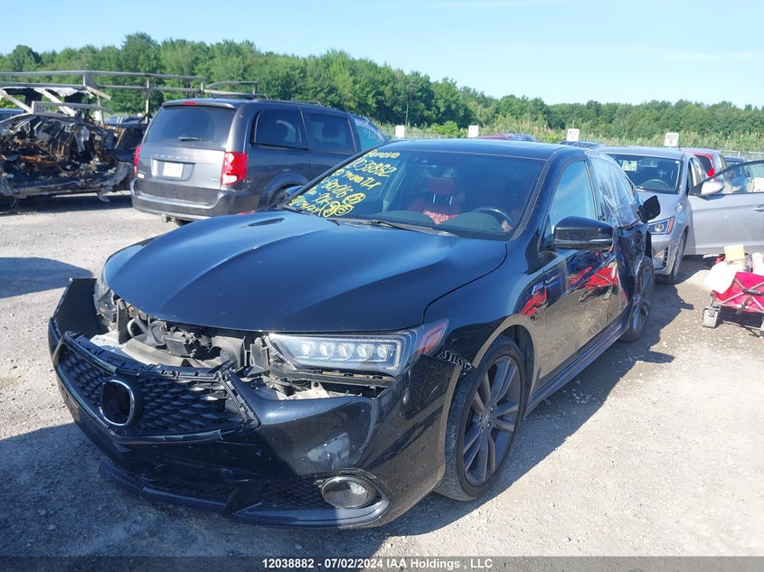 2020 Acura Tlx VIN: 19UUB1F64LA800216 Lot: 12038882