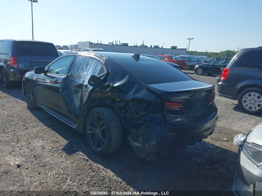 2020 Acura Tlx VIN: 19UUB1F64LA800216 Lot: 12038882