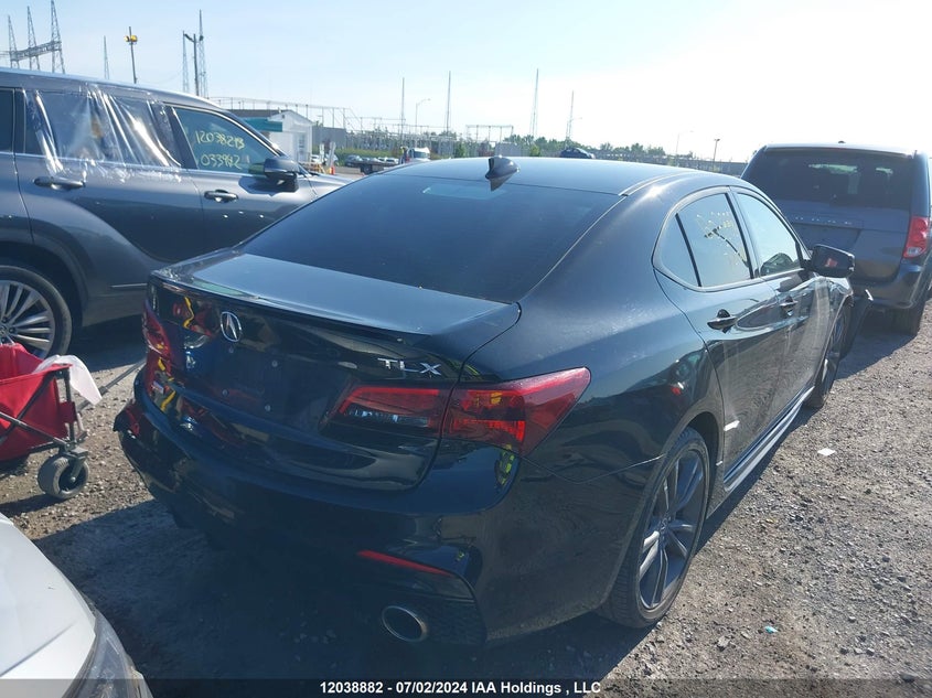 2020 Acura Tlx VIN: 19UUB1F64LA800216 Lot: 12038882