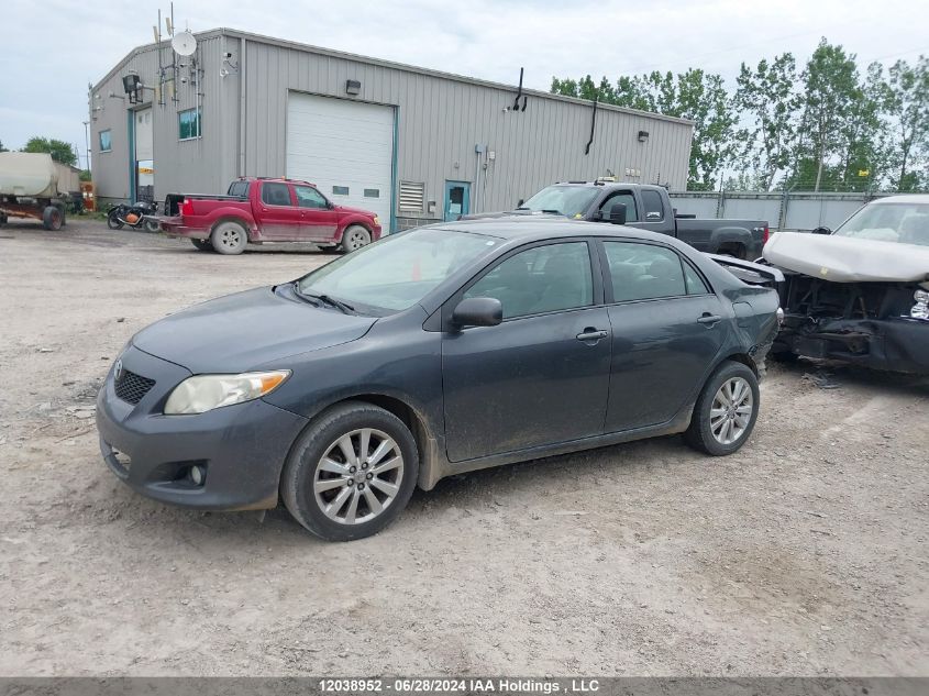 2009 Toyota Corolla S/Le/Xle VIN: 2T1BU40E19C103611 Lot: 12038952