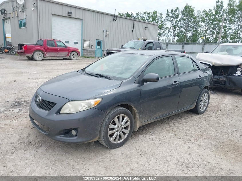 2009 Toyota Corolla S/Le/Xle VIN: 2T1BU40E19C103611 Lot: 12038952