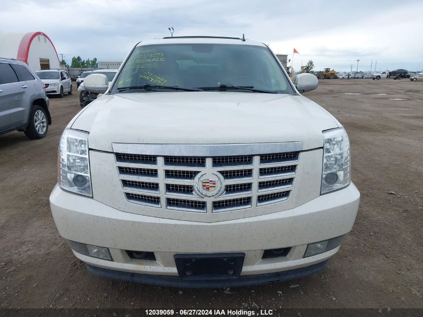 2010 Cadillac Escalade VIN: 1GYUKEEJ1AR222502 Lot: 12039059