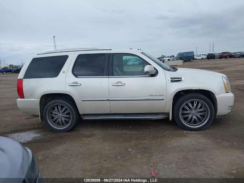 2010 Cadillac Escalade VIN: 1GYUKEEJ1AR222502 Lot: 12039059