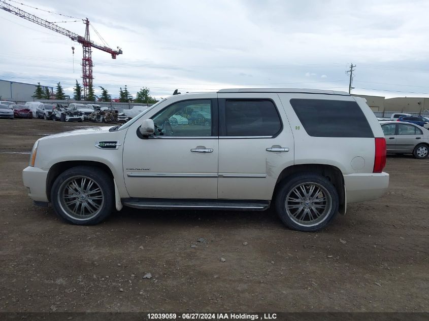 2010 Cadillac Escalade VIN: 1GYUKEEJ1AR222502 Lot: 12039059