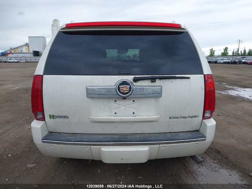 2010 Cadillac Escalade VIN: 1GYUKEEJ1AR222502 Lot: 12039059