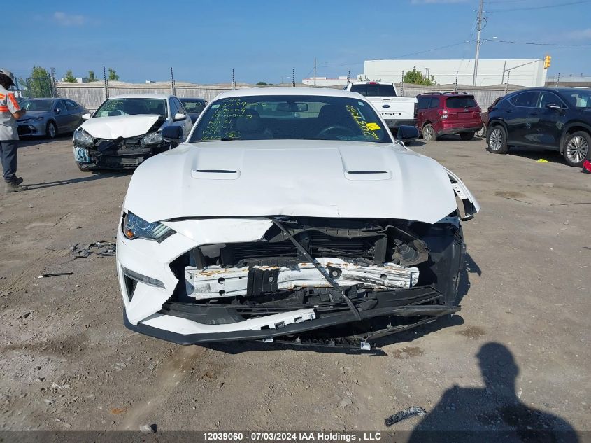2019 Ford Mustang VIN: 1FA6P8THXK5119806 Lot: 12039060