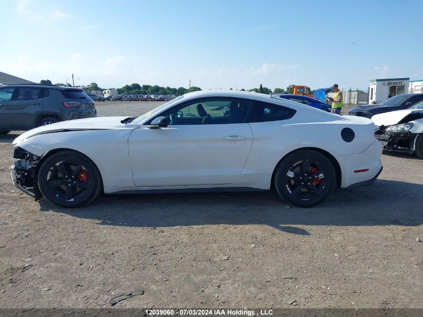 2019 Ford Mustang VIN: 1FA6P8THXK5119806 Lot: 12039060