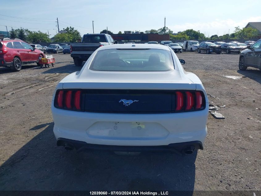 2019 Ford Mustang VIN: 1FA6P8THXK5119806 Lot: 12039060