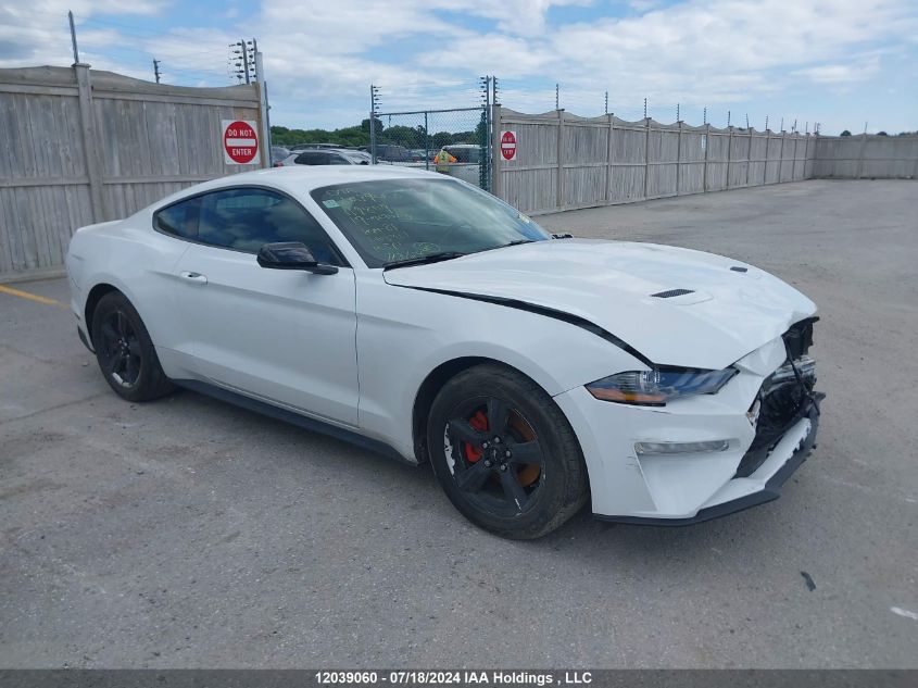 2019 Ford Mustang VIN: 1FA6P8THXK5119806 Lot: 12039060