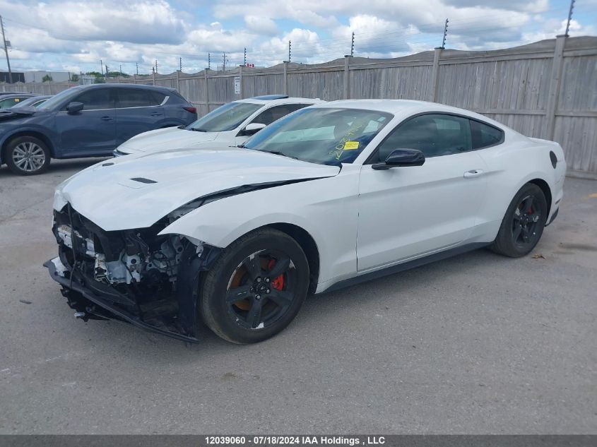 2019 Ford Mustang VIN: 1FA6P8THXK5119806 Lot: 12039060