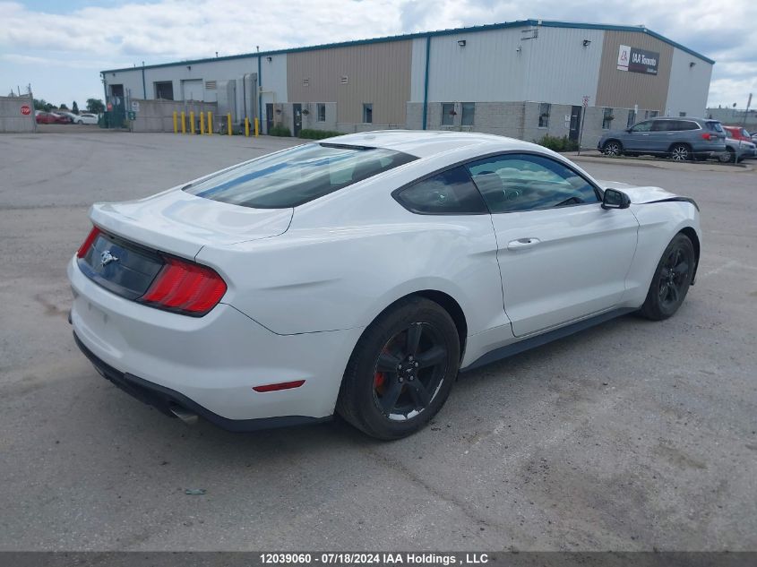 2019 Ford Mustang VIN: 1FA6P8THXK5119806 Lot: 12039060