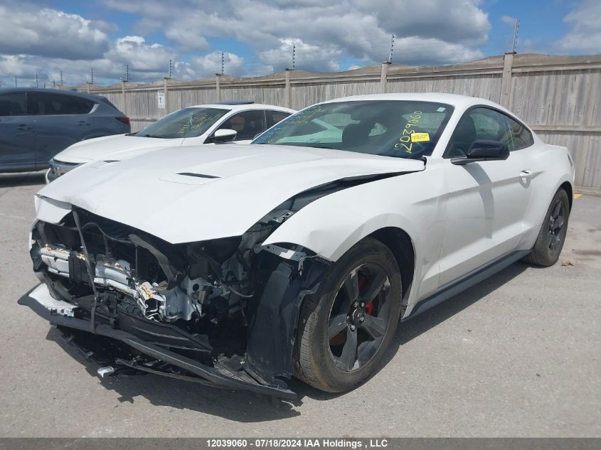 2019 Ford Mustang VIN: 1FA6P8THXK5119806 Lot: 12039060