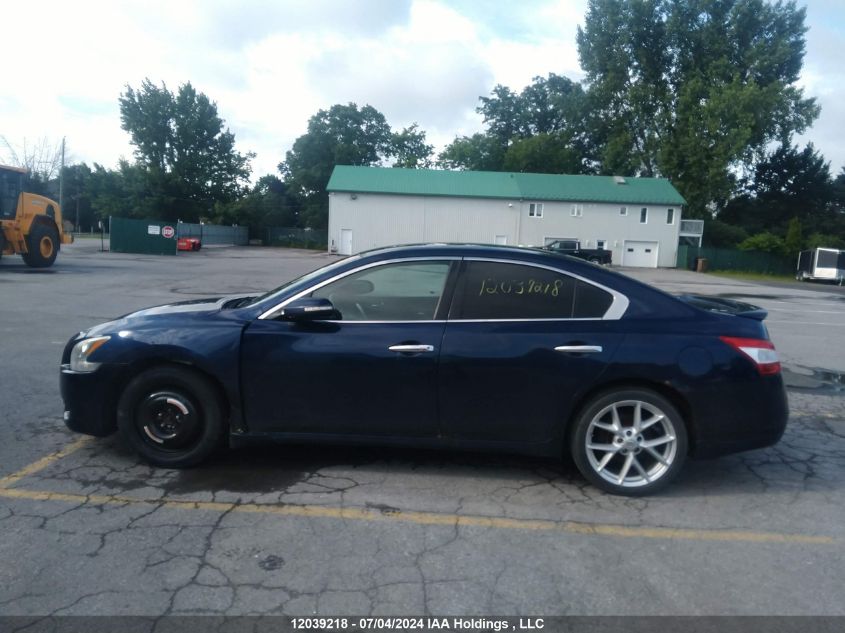 2009 Nissan Maxima S/Sv VIN: 1N4AA51E09C828205 Lot: 12039218