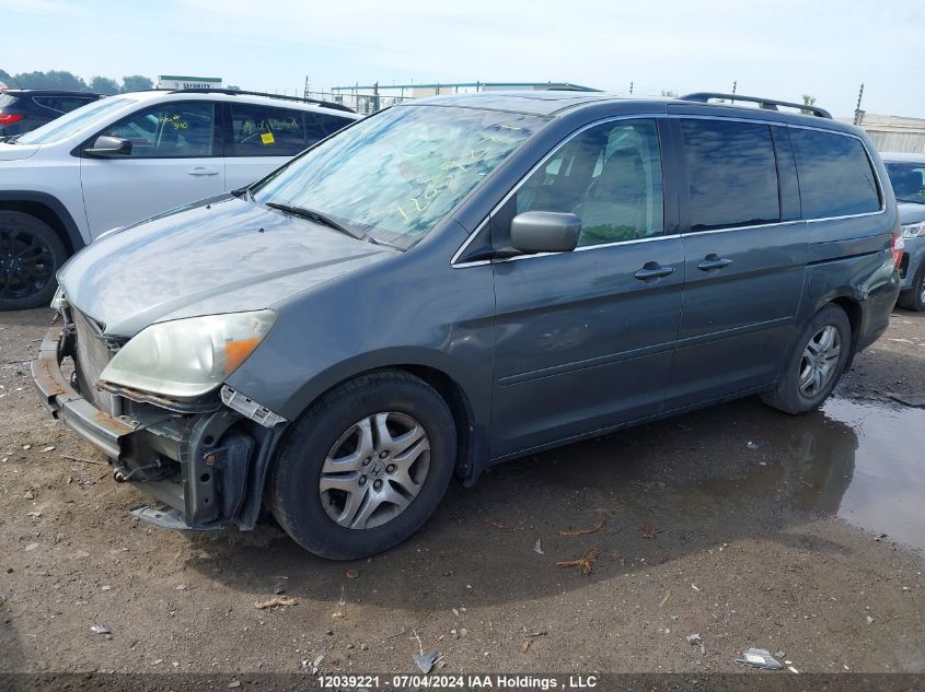 2007 Honda Odyssey VIN: 5FNRL38757B504685 Lot: 12039221