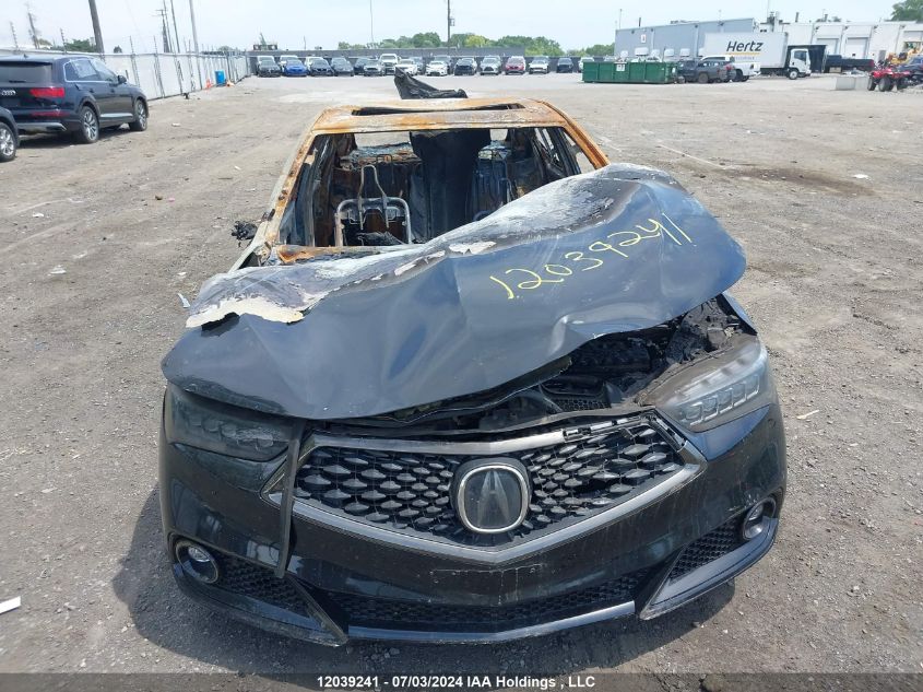 2019 Acura Tlx VIN: 19UUB1F53KA800696 Lot: 12039241