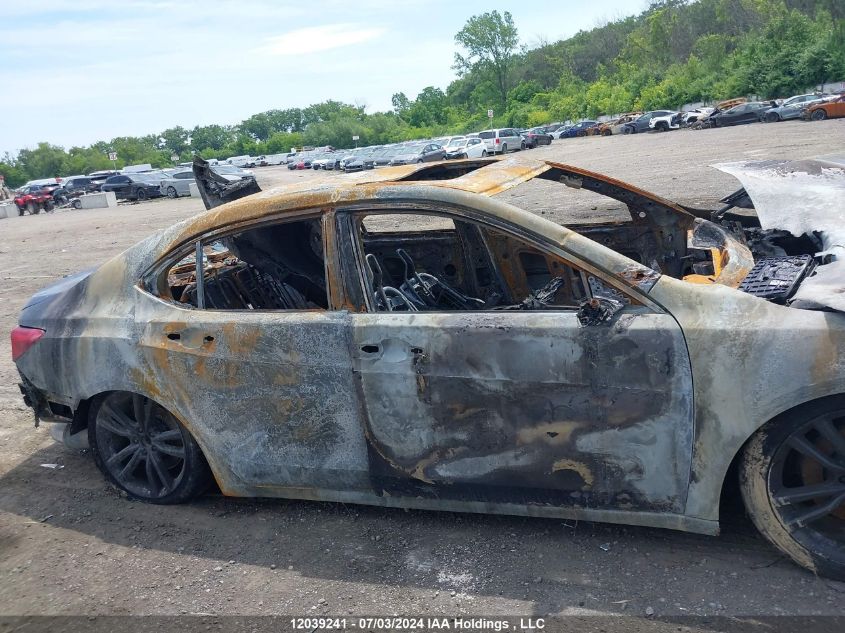 2019 Acura Tlx VIN: 19UUB1F53KA800696 Lot: 12039241