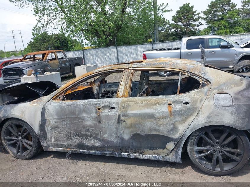 2019 Acura Tlx VIN: 19UUB1F53KA800696 Lot: 12039241