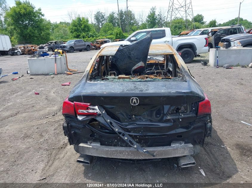 2019 Acura Tlx VIN: 19UUB1F53KA800696 Lot: 12039241