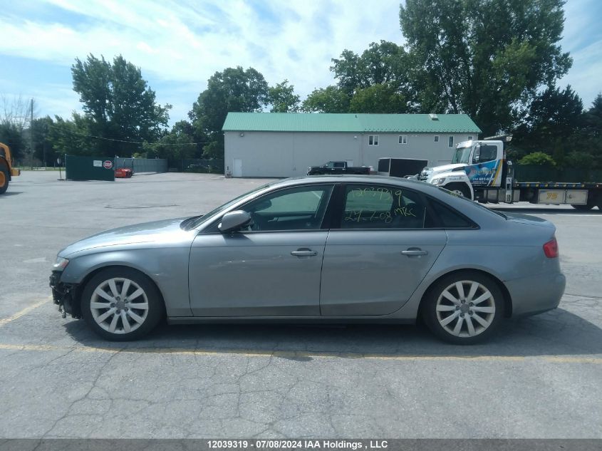 2010 Audi A4 VIN: WAUBFCFL2AN019435 Lot: 12039319
