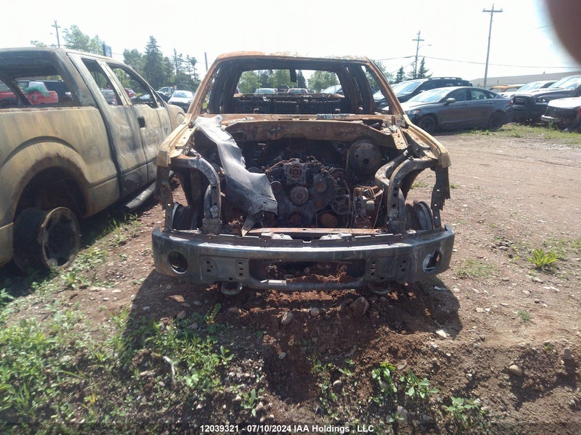 2010 Ford F150 Supercrew VIN: 1FTFW1EV8AFA19879 Lot: 12039321