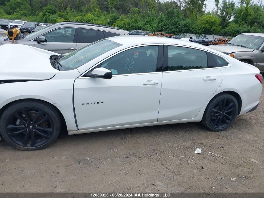 2023 Chevrolet Malibu Lt VIN: 1G1ZD5ST5PF220282 Lot: 12039325