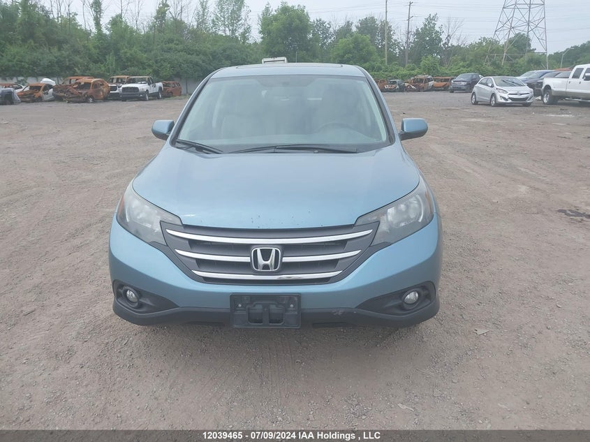 2014 Honda Cr-V VIN: 2HKRM4H55EH131695 Lot: 12039465