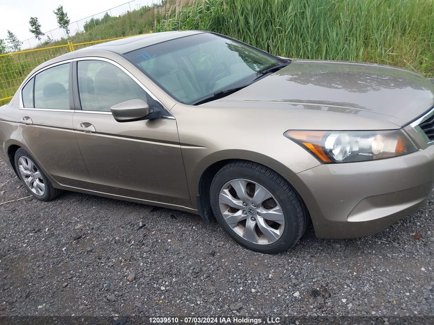2009 Honda Accord Sedan VIN: 1HGCP26859A804319 Lot: 12039510