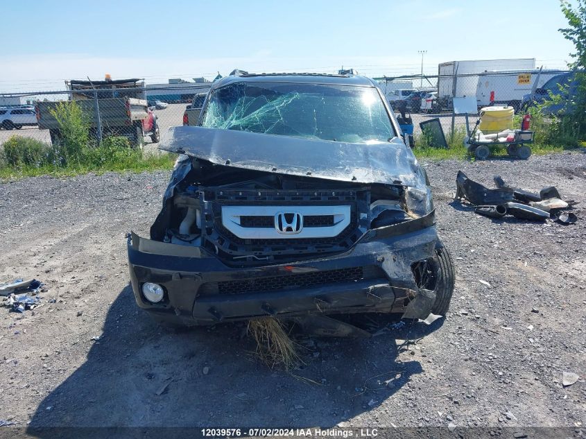 2010 Honda Pilot VIN: 5FNYF4H96AB504440 Lot: 12039576