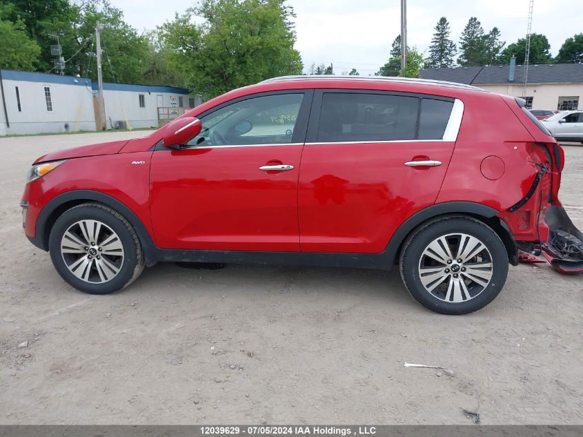 2014 Kia Sportage VIN: KNDPCCAC3E7584165 Lot: 12039629