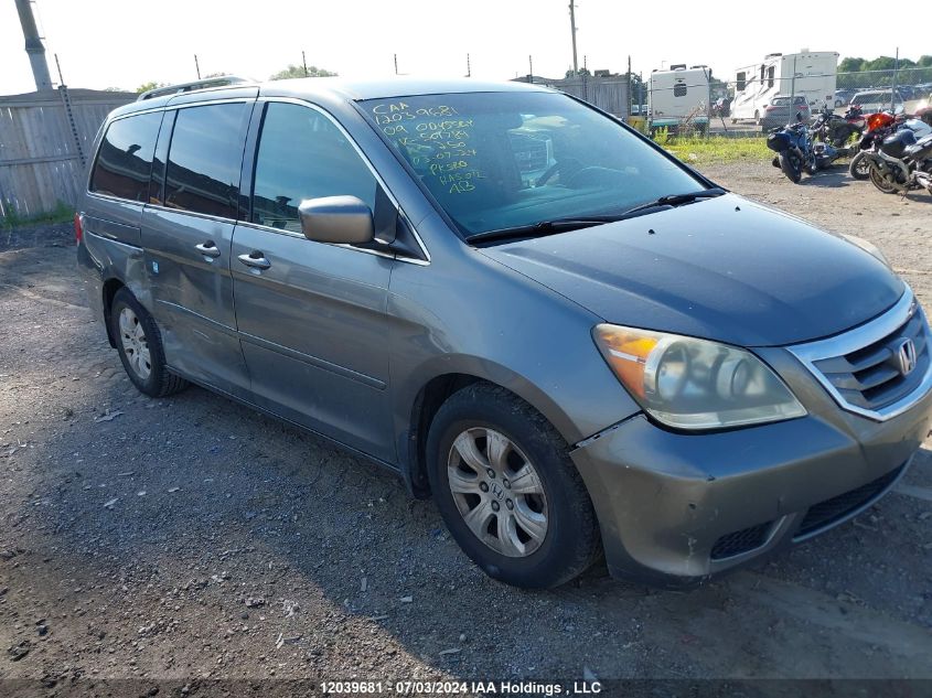 2009 Honda Odyssey VIN: 5FNRL38419B501789 Lot: 12039681