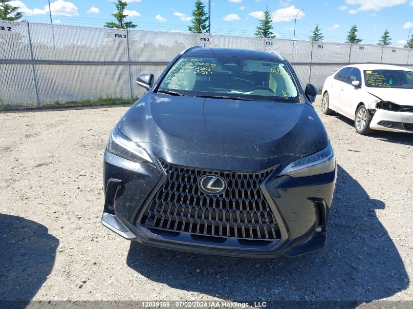 2022 Lexus Nx 350H VIN: 2T2GKCEZ2NC006828 Lot: 12039859