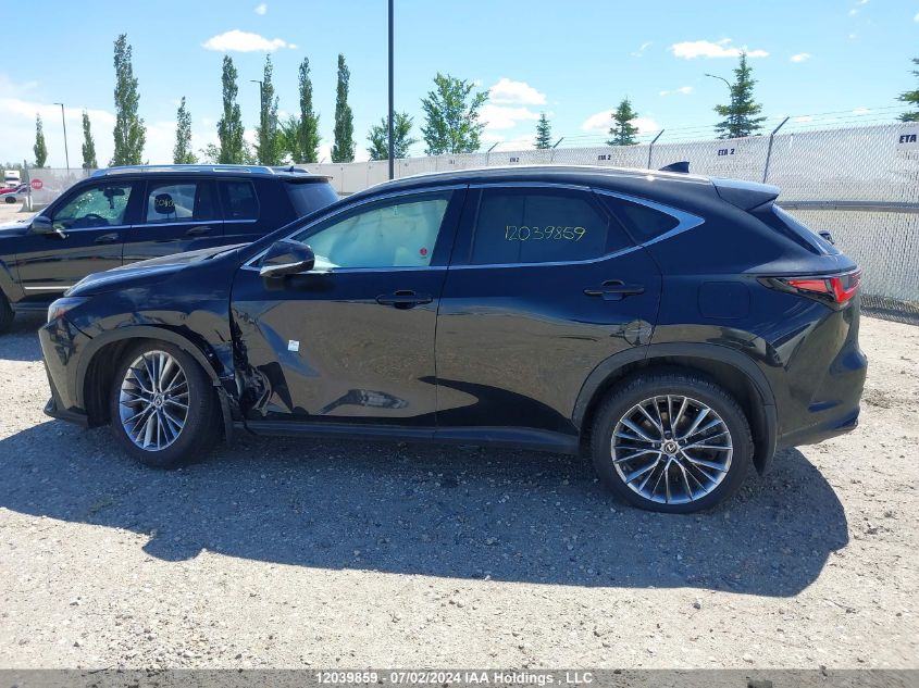 2022 Lexus Nx 350H VIN: 2T2GKCEZ2NC006828 Lot: 12039859