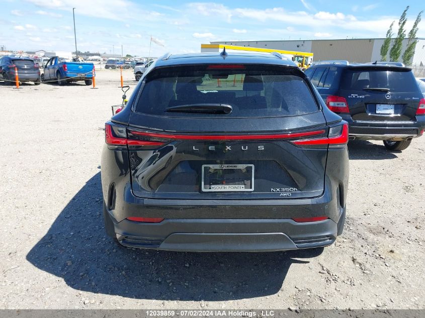 2022 Lexus Nx 350H VIN: 2T2GKCEZ2NC006828 Lot: 12039859