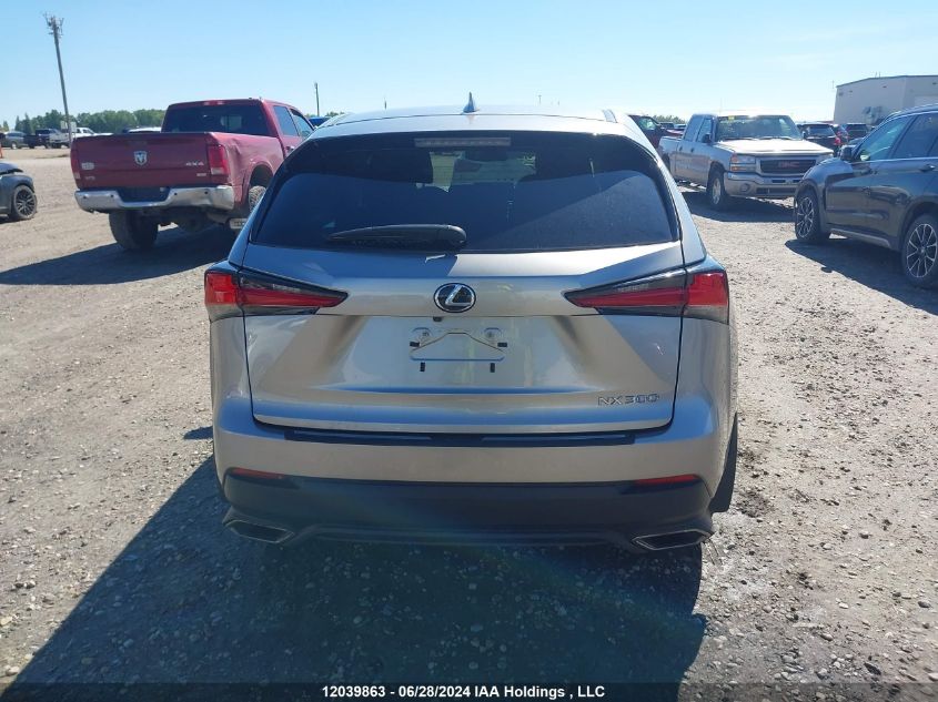 2021 Lexus Nx 300 Base/300 Luxury/300 F-Sport VIN: JTJAARDZ2M2237630 Lot: 12039863